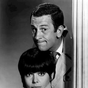 Barbara Feldon